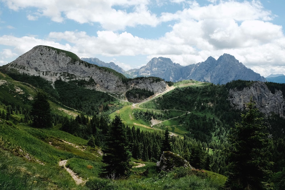 green pine trees on mountain under blue sky during daytime