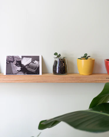 Minimalist shelf displaying artisan pottery in warm sand and charcoal tones, with a small green plant.