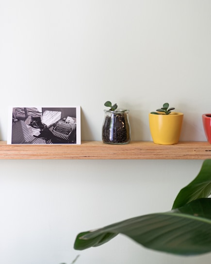 A cozy arrangement of minimalist modern and Scandinavian fresh plant pots on a sunlit wooden shelf.