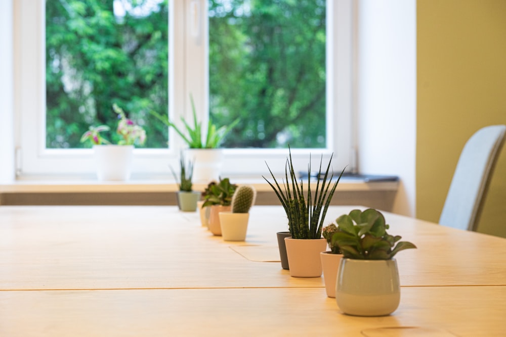 Planta en maceta verde sobre mesa de madera marrón