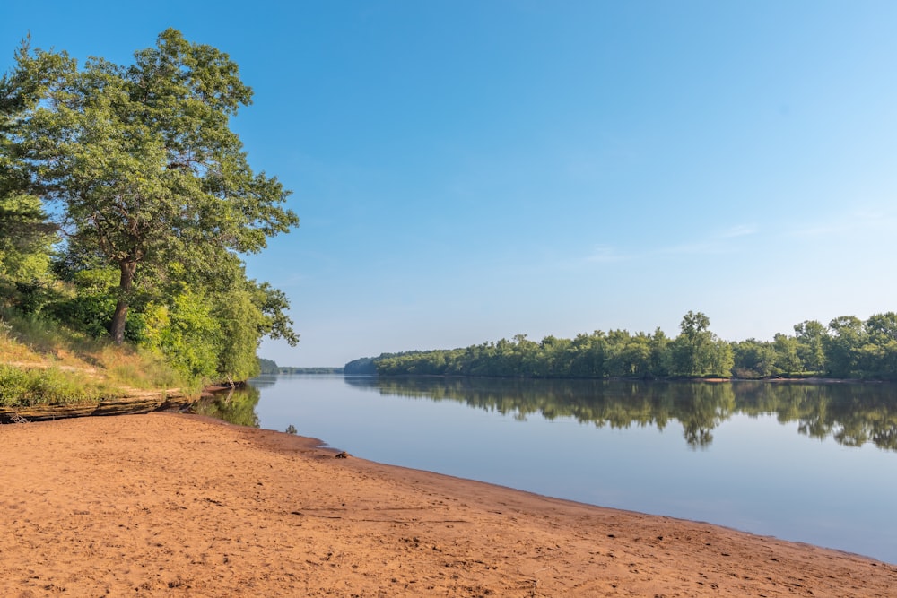 green trees beside lake under blue sky during daytime