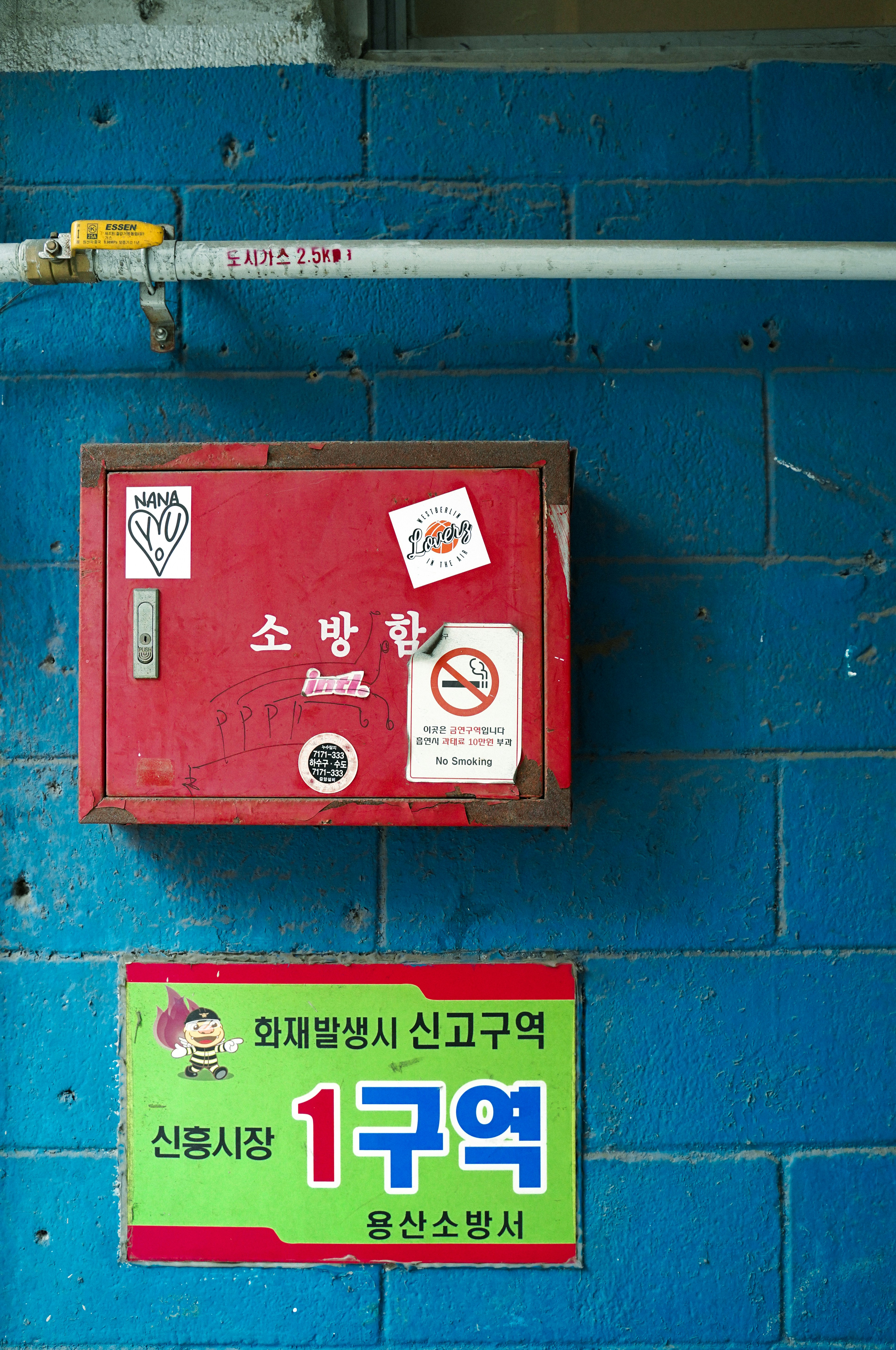 Food Waste Disposal: Special Rules and Required Bags