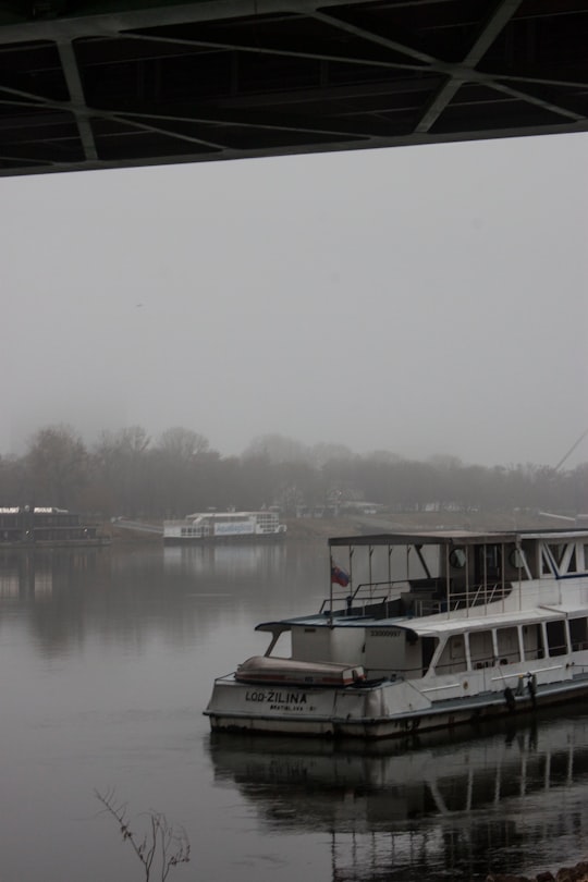 white and black boat on water during daytime in Bratislava Slovakia