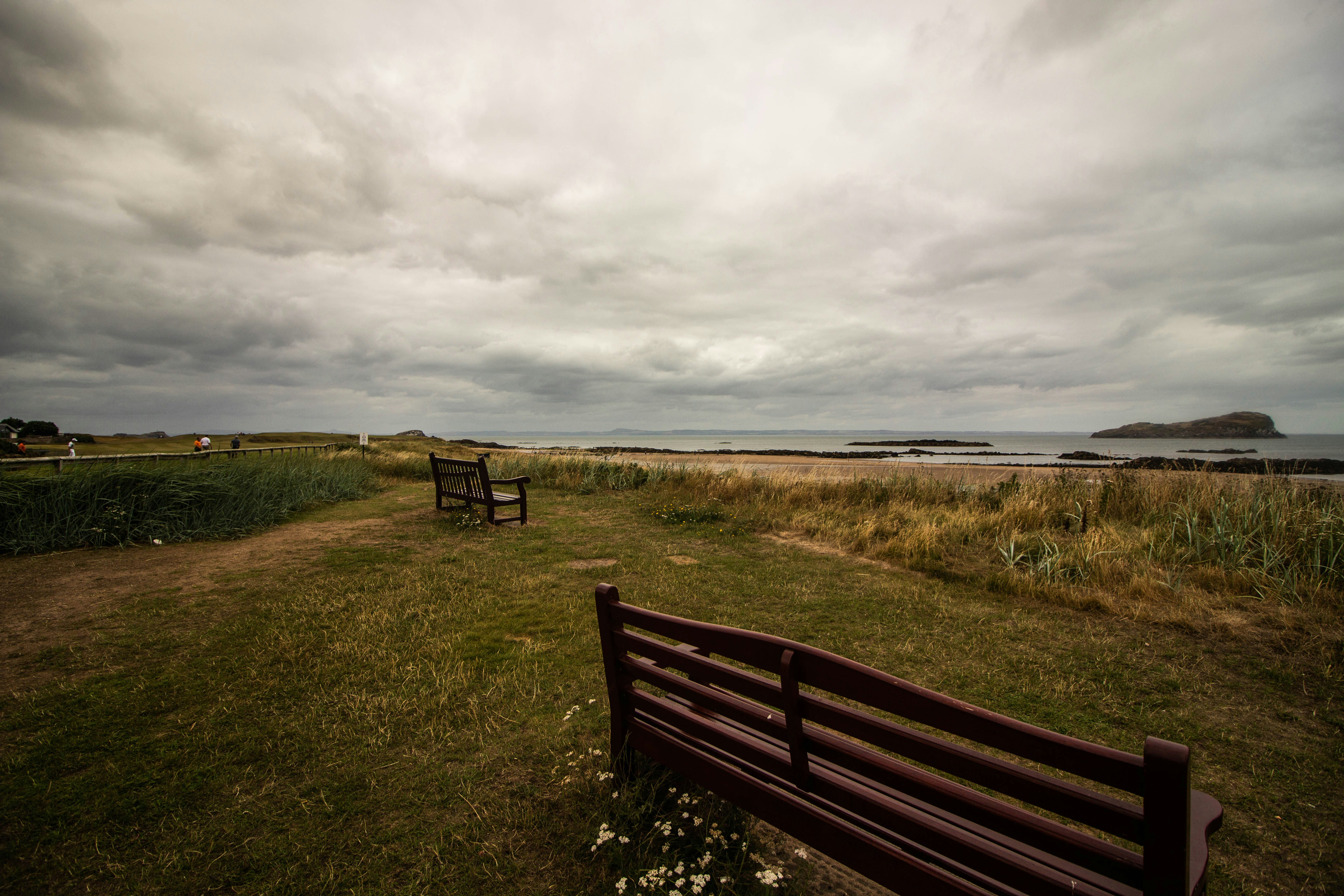 brown wooden bench on green grass field under gray cloudy sky, 