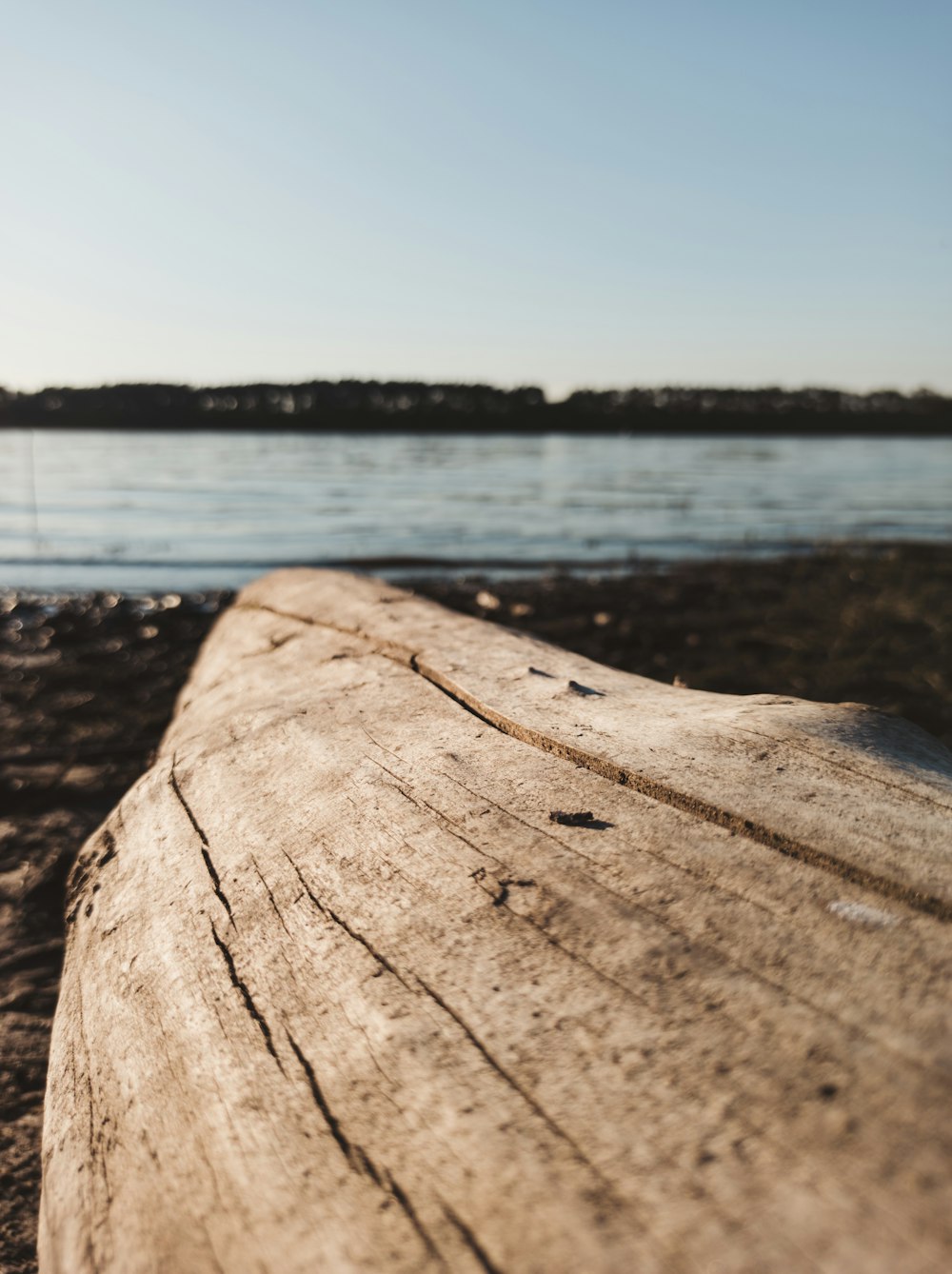 brown wooden log near body of water during daytime