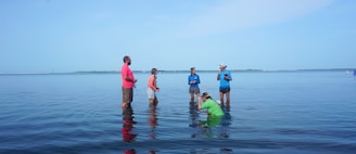 Several people are standing and engaging in an activity in shallow water, with a calm sea and a clear sky in the background. One person is crouched down, appearing to interact closely with the water. The others are observing or possibly discussing something.