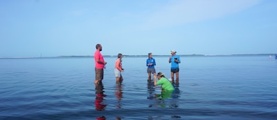Several people are standing and engaging in an activity in shallow water, with a calm sea and a clear sky in the background. One person is crouched down, appearing to interact closely with the water. The others are observing or possibly discussing something.