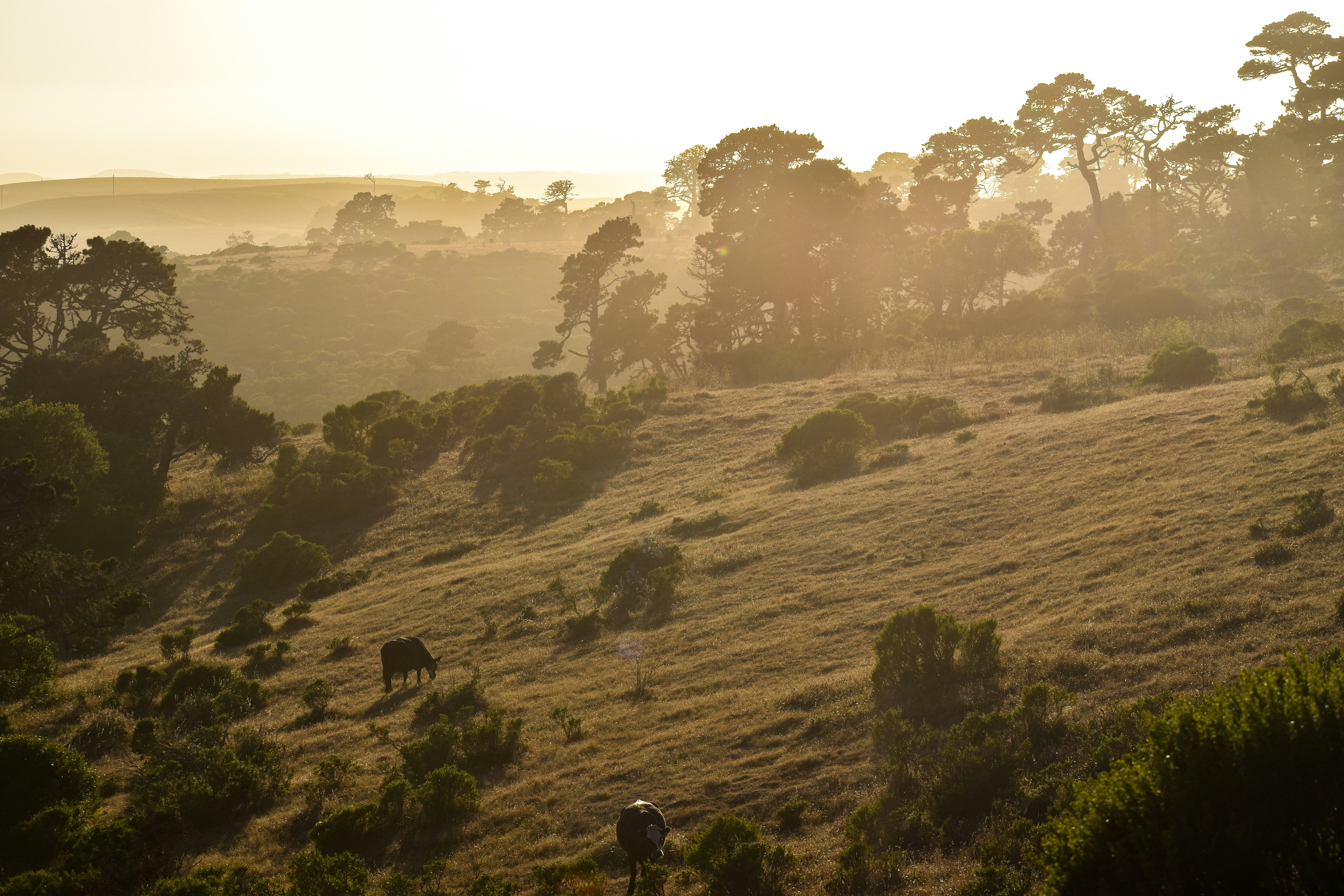 Photo by elisastonephotography