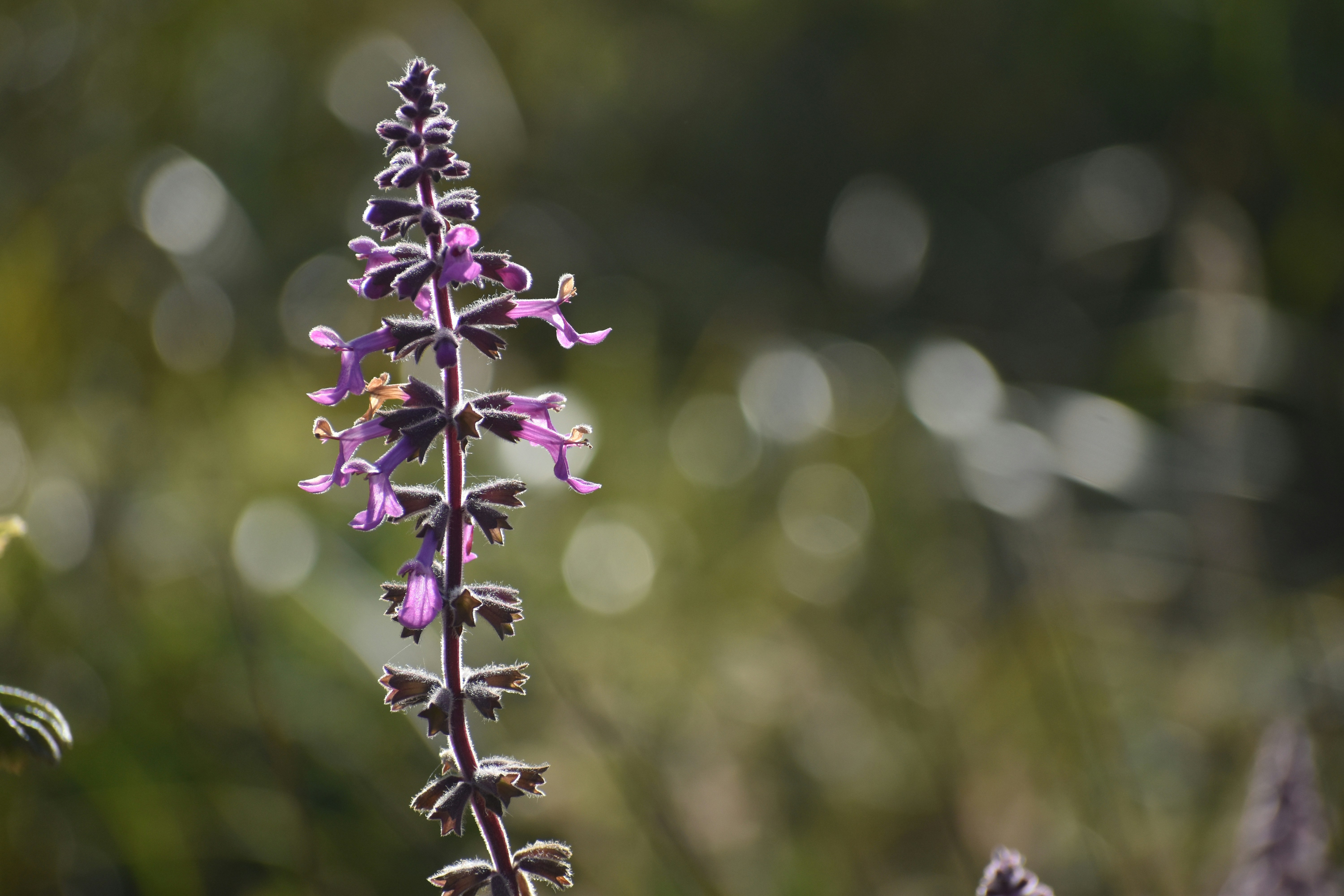 Photo by elisastonephotography