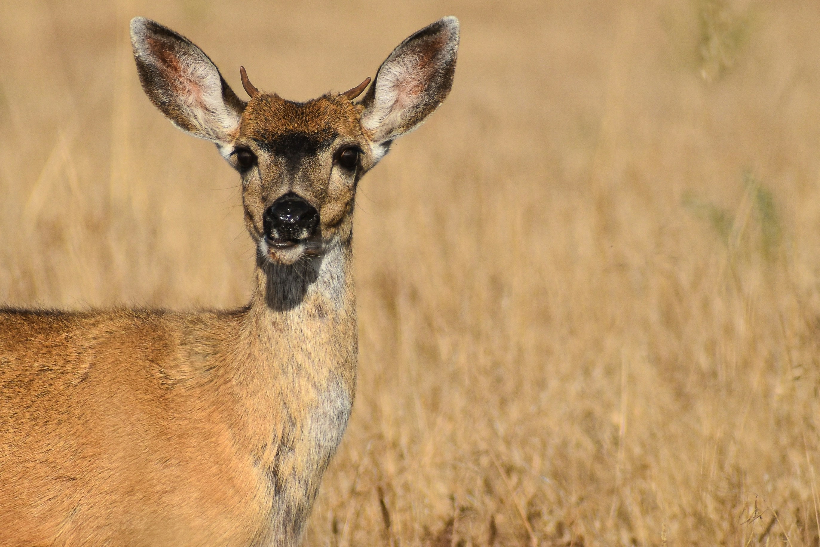 Photo by elisastonephotography