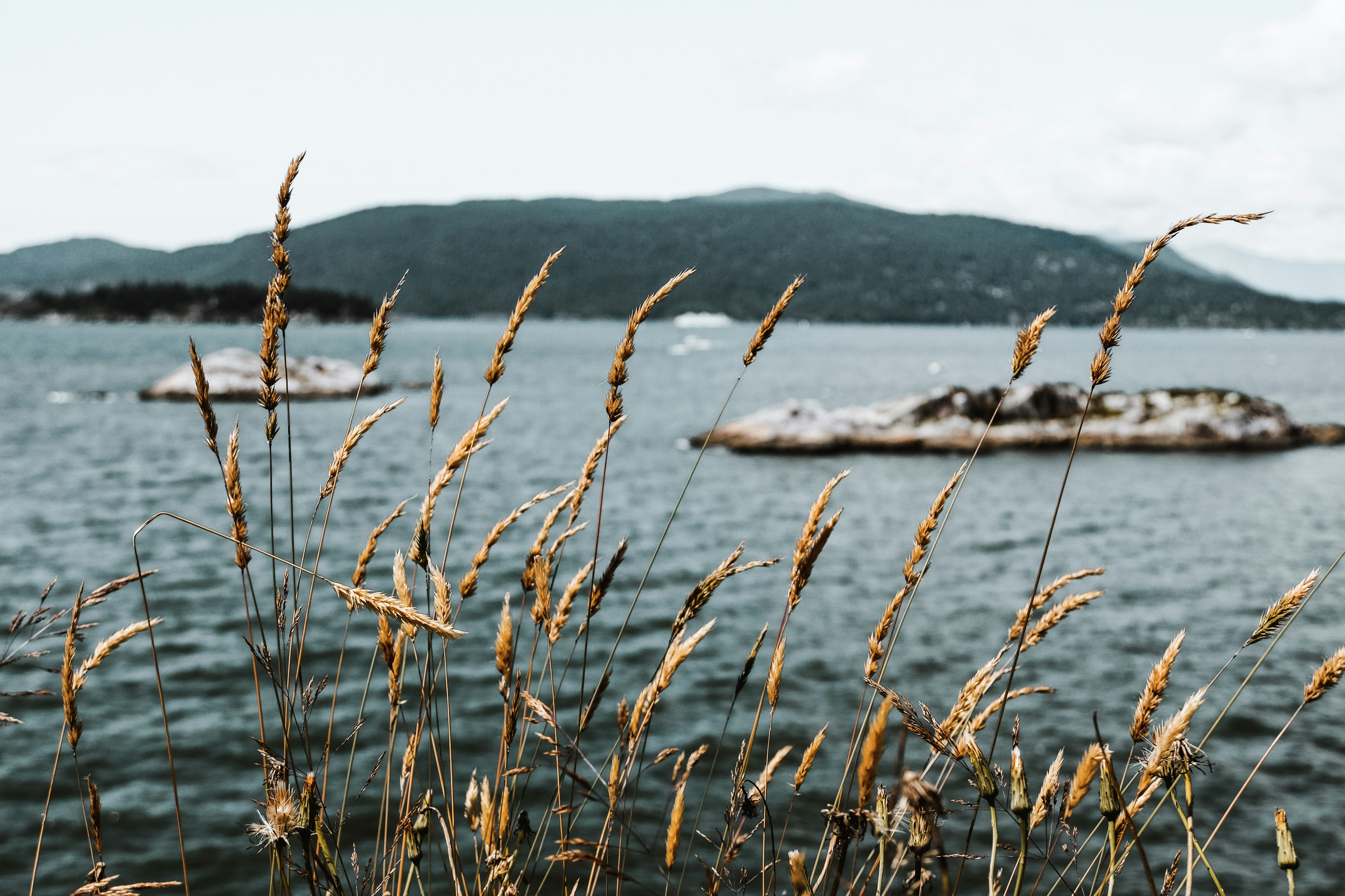 Photo by jessbarnett_