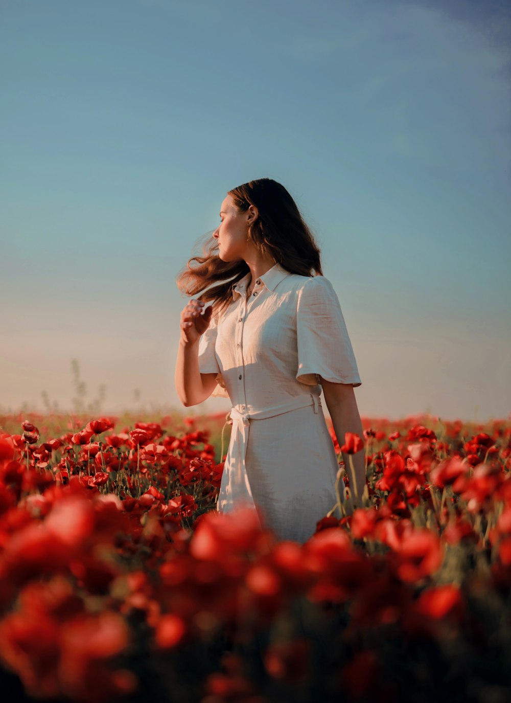 mulher no vestido branco que está no campo da flor vermelha durante o dia