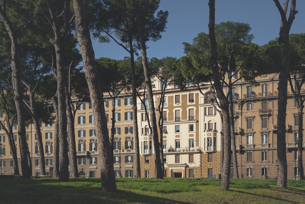 brown concrete building near green trees during daytime