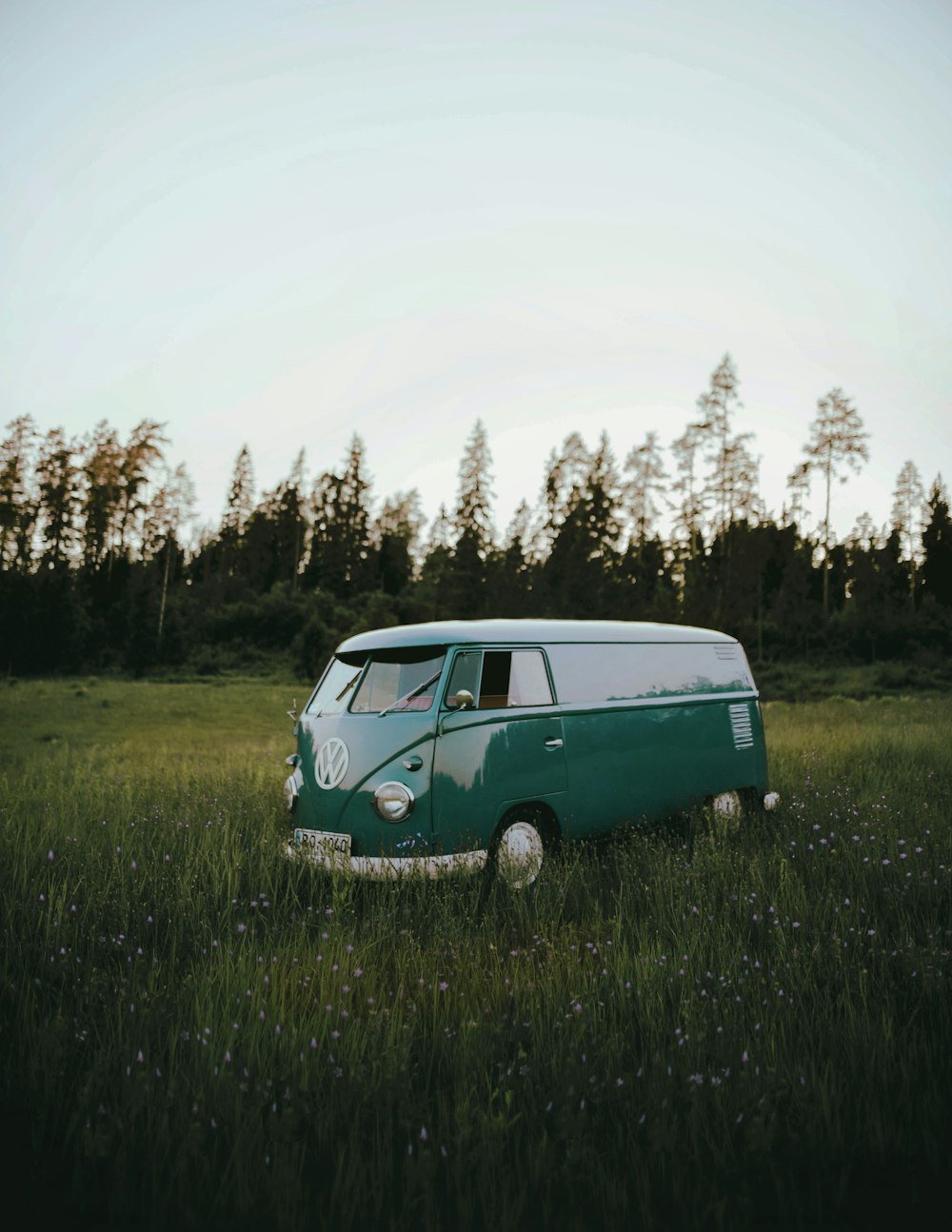 blue volkswagen t-2 on green grass field during daytime