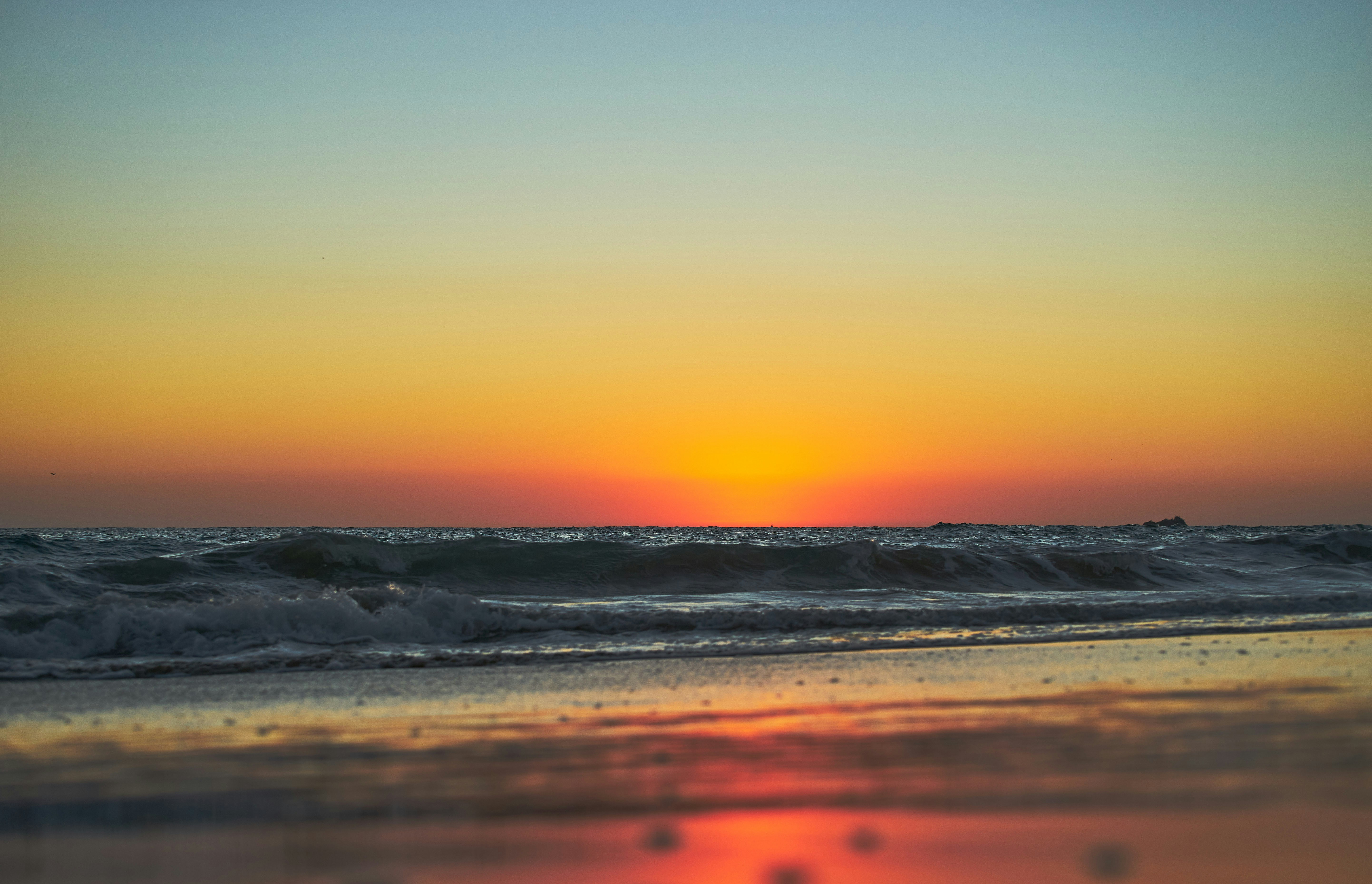 Photo by wolfgang_hasselmann