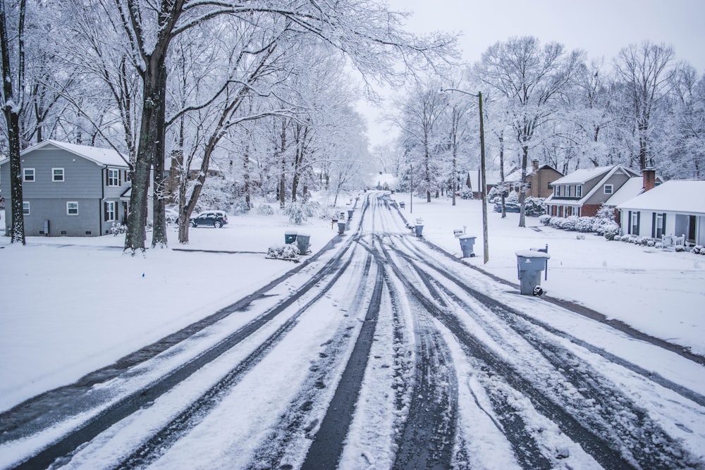 snow covered road between bare trees during daytime