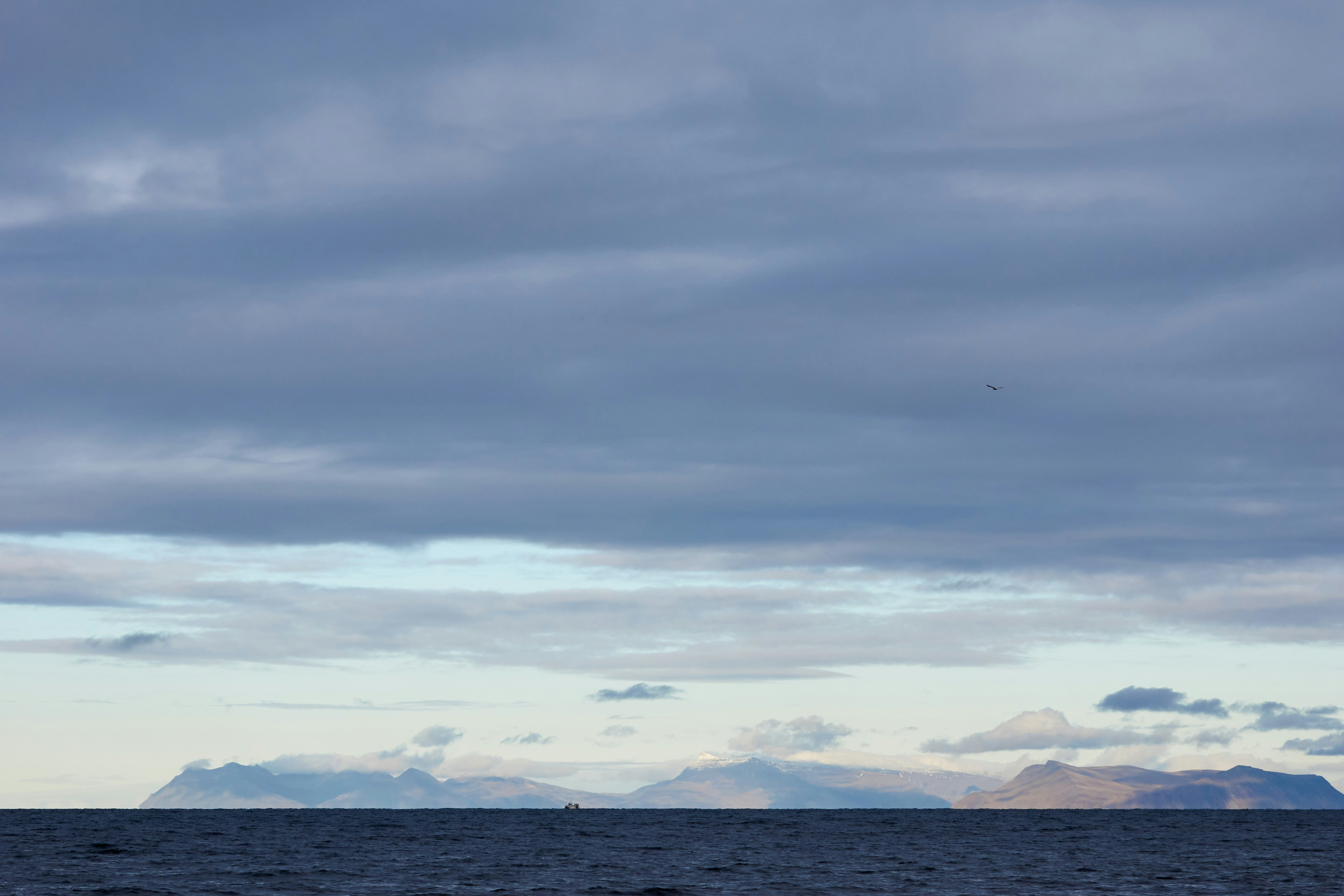 Photo by wolfgang_hasselmann