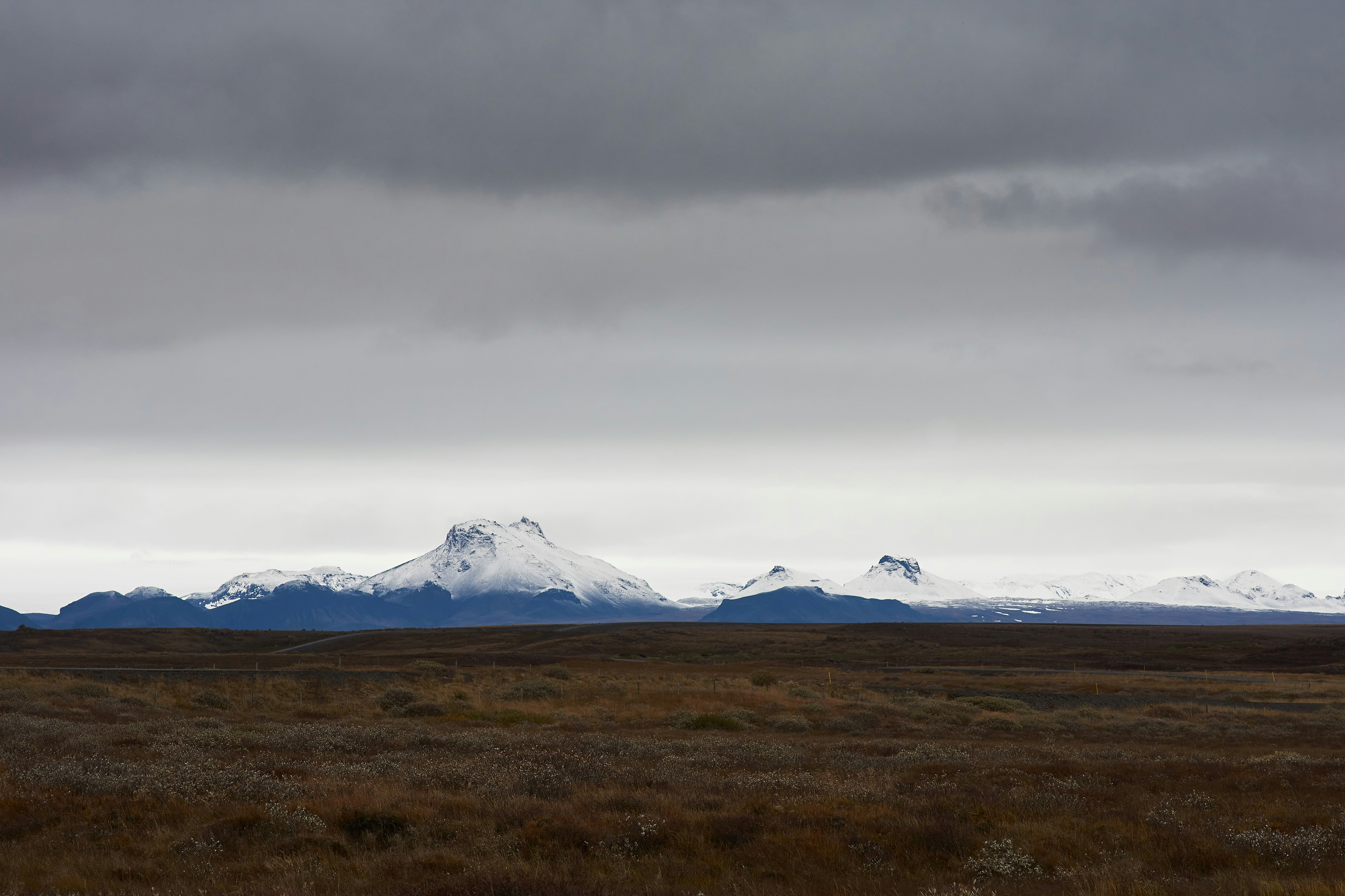 Photo by wolfgang_hasselmann