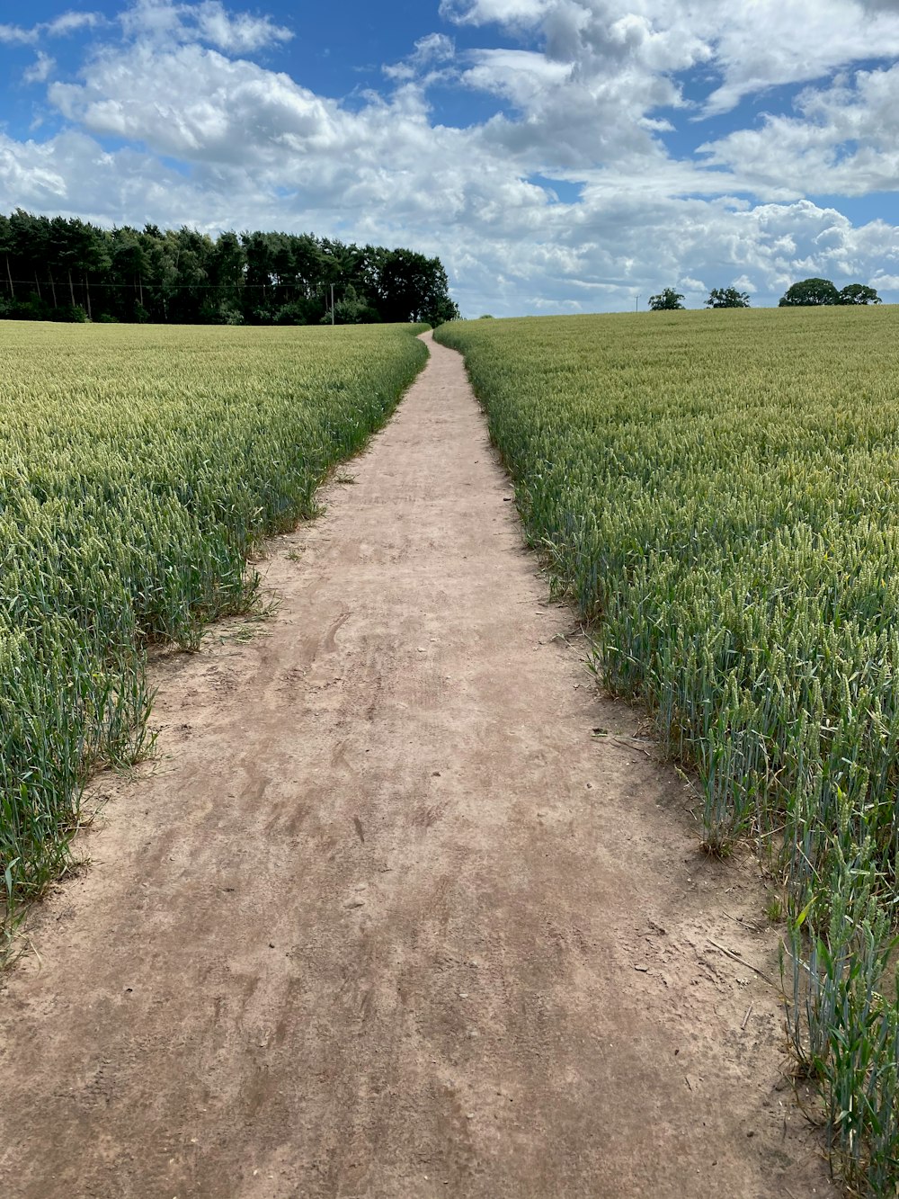 brown dirt road between green grass field during daytime