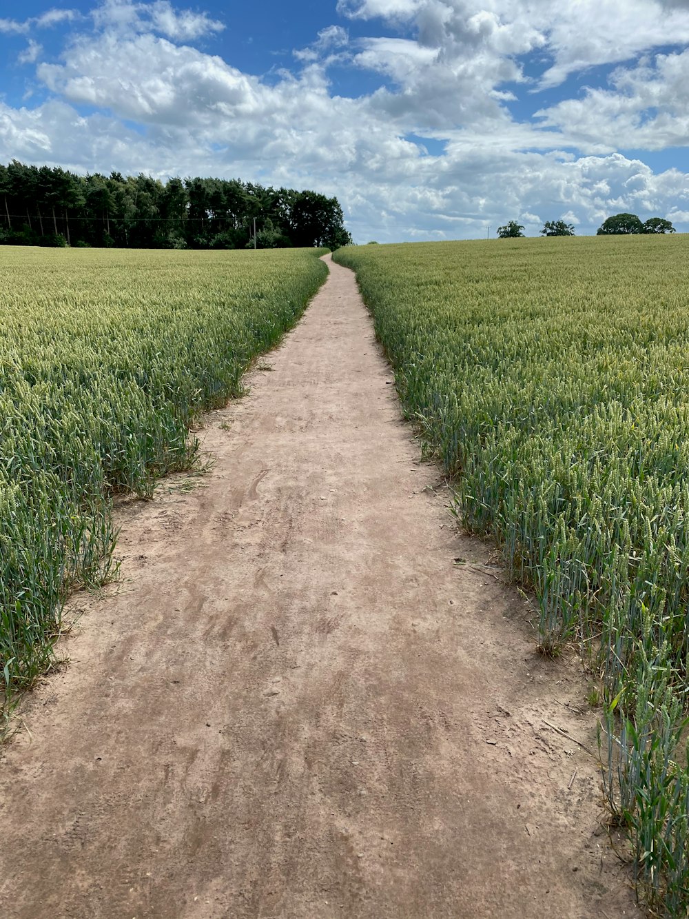 Camino de tierra marrón entre el campo de hierba verde durante el día