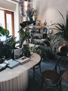 Cozy seating area with magazines and plants, inviting customers to relax while waiting.