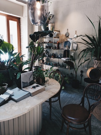 A cozy interior space filled with a variety of plants and greenery. A table in the center is decorated with books and magazines, surrounded by classic wooden chairs. An industrial-style light fixture hangs overhead, illuminating the scene. Shelves against the wall display various decorative items and potted plants, creating a warm and inviting atmosphere.