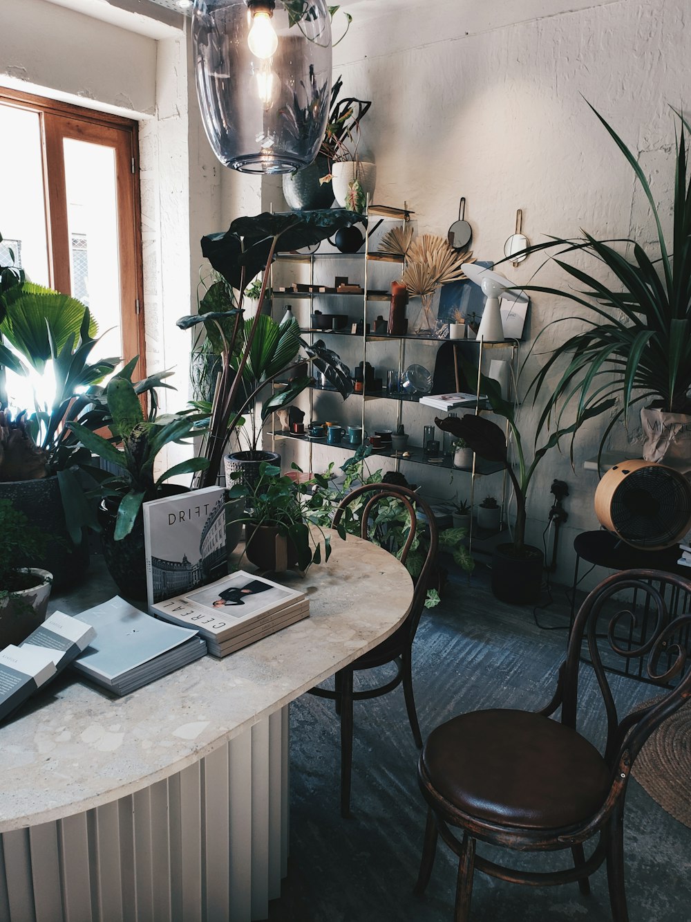 green potted plant on table