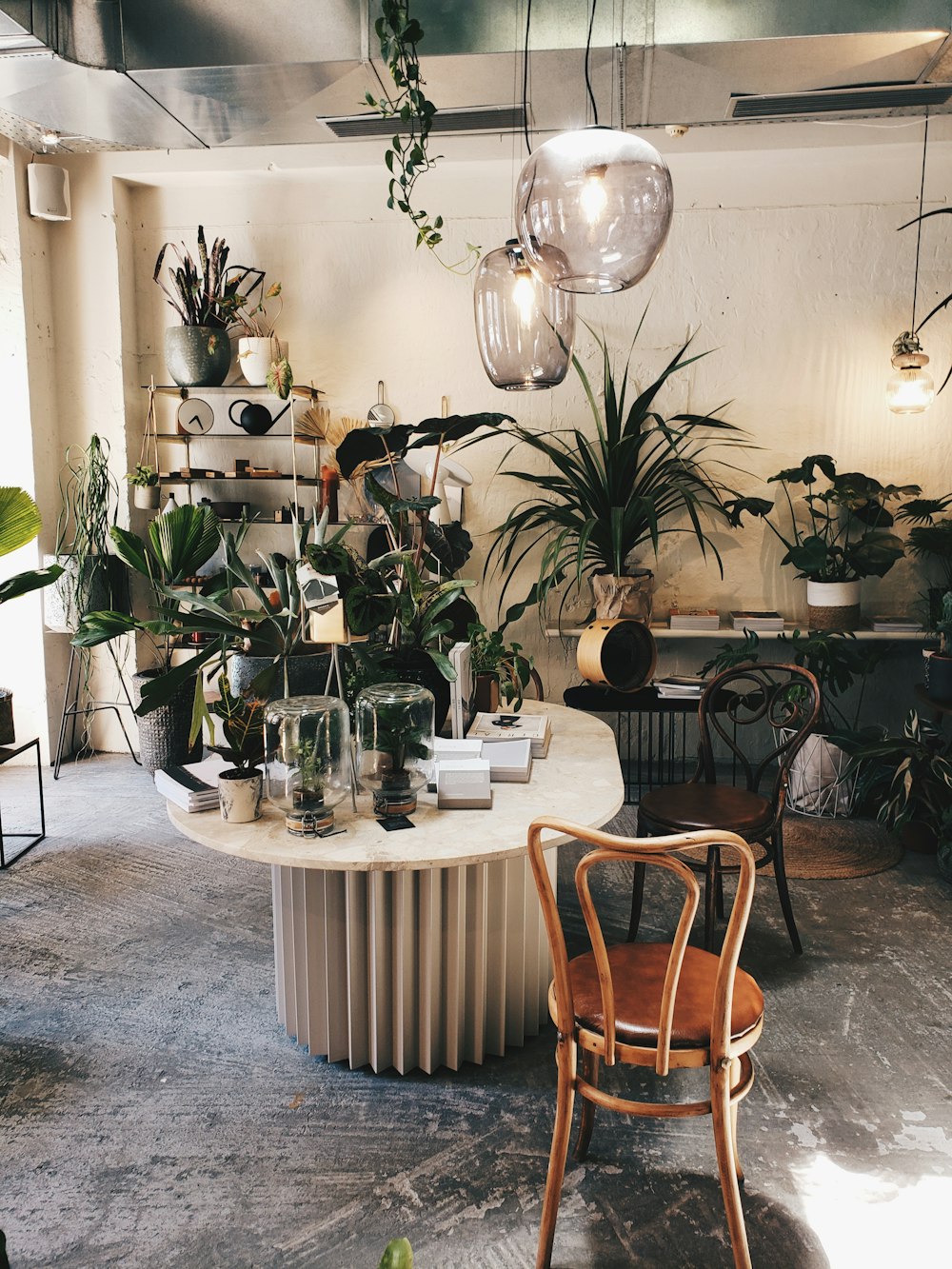 green potted plant on white round table