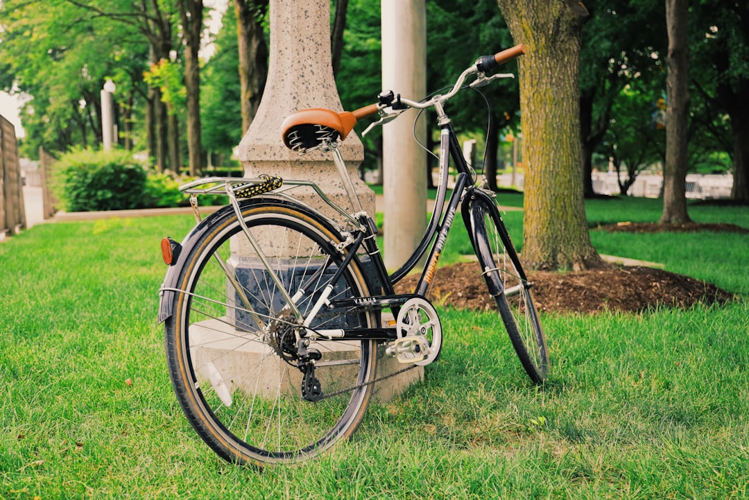 black commuter bike parked beside tree during daytime