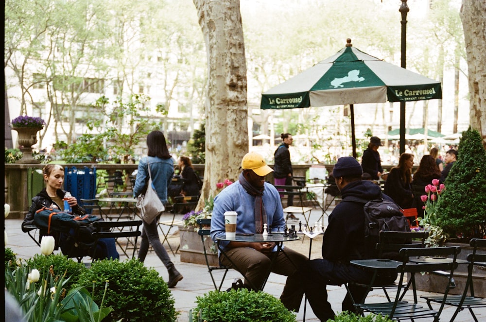 people sitting on chairs near green leaf plants during daytime