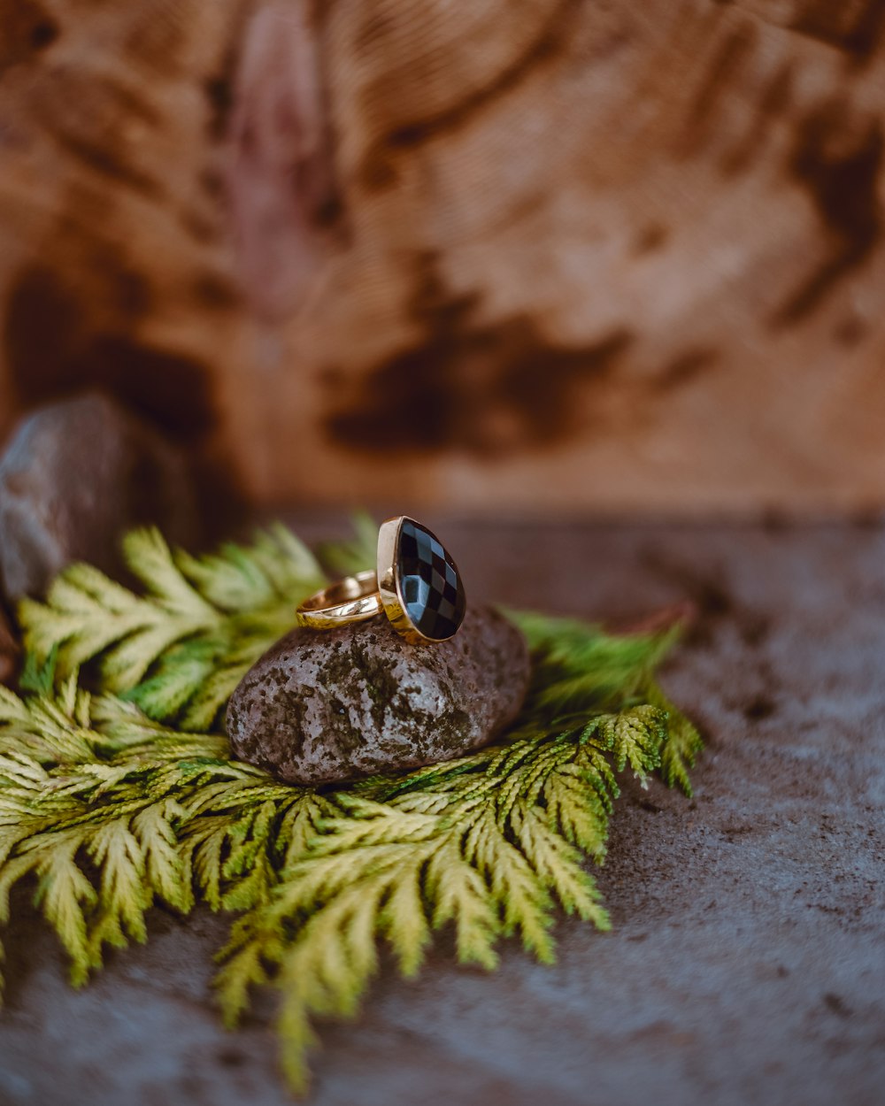 gold and black ring on green plant