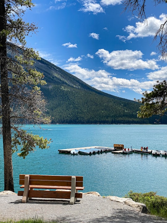 brown wooden bench near body of water during daytime in Lake Minnewanka Canada