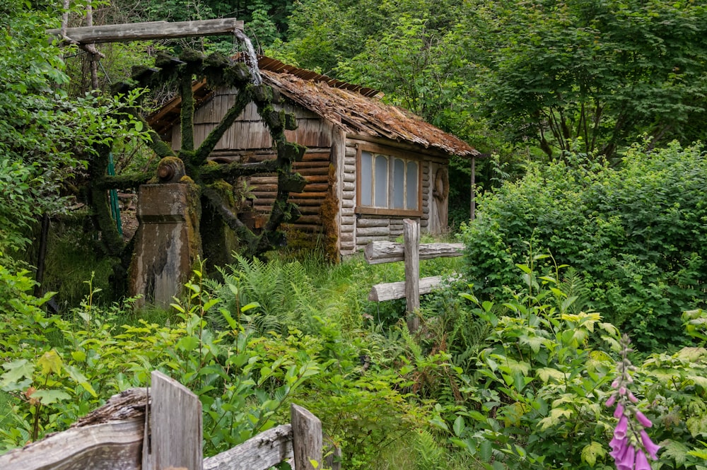 brown wooden house surrounded by green plants