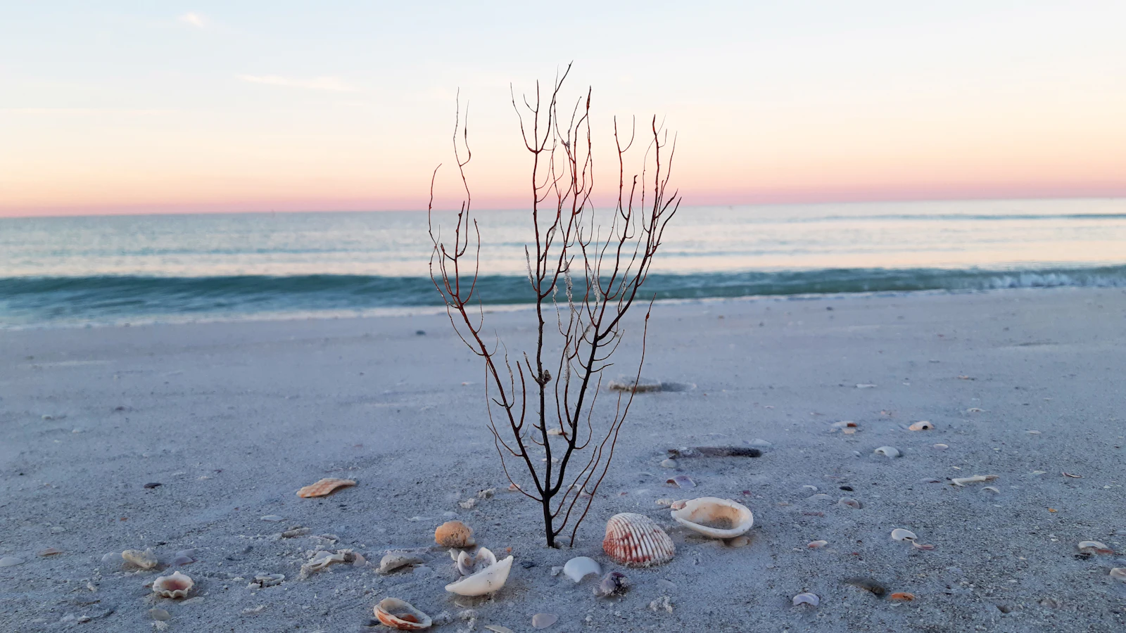 Treasure Island
