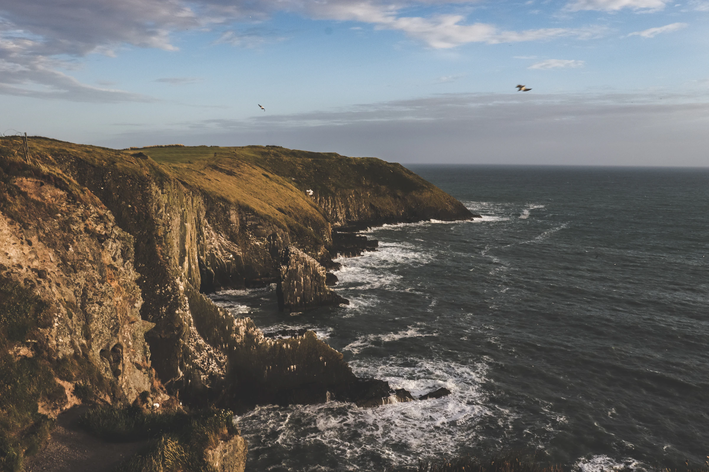 The cliffs of the Old Head of Kinsale, County Cork, in warm light above the Atlantic