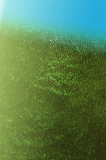 Close-up of shimmering sea blue gradients merging with bright lemon green highlights.