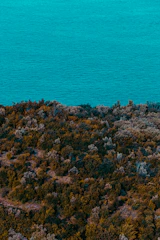 A vibrant coastal landscape painting with rich textures and natural pigments.