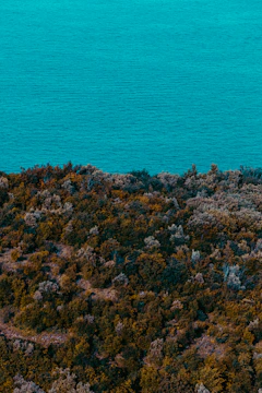 A vibrant coastal landscape painting with rich textures and natural pigments.