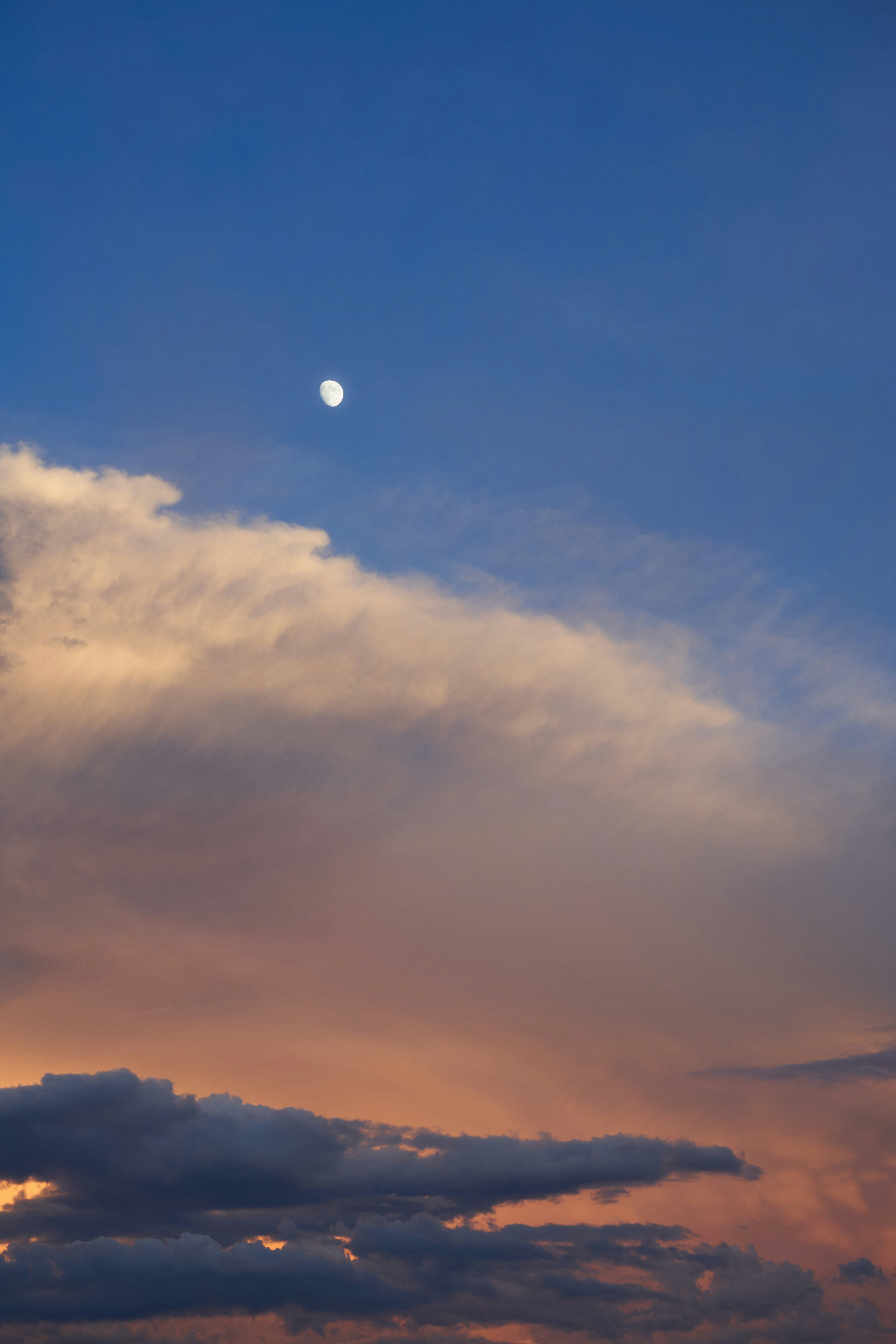 Photo by wolfgang_hasselmann