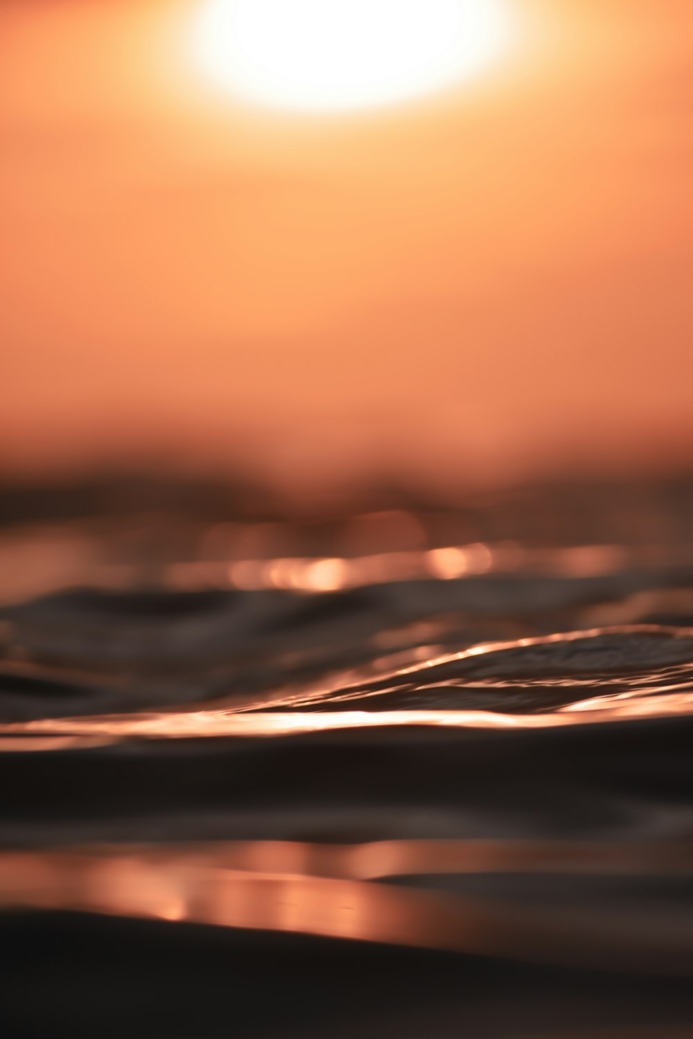 water in close up photography