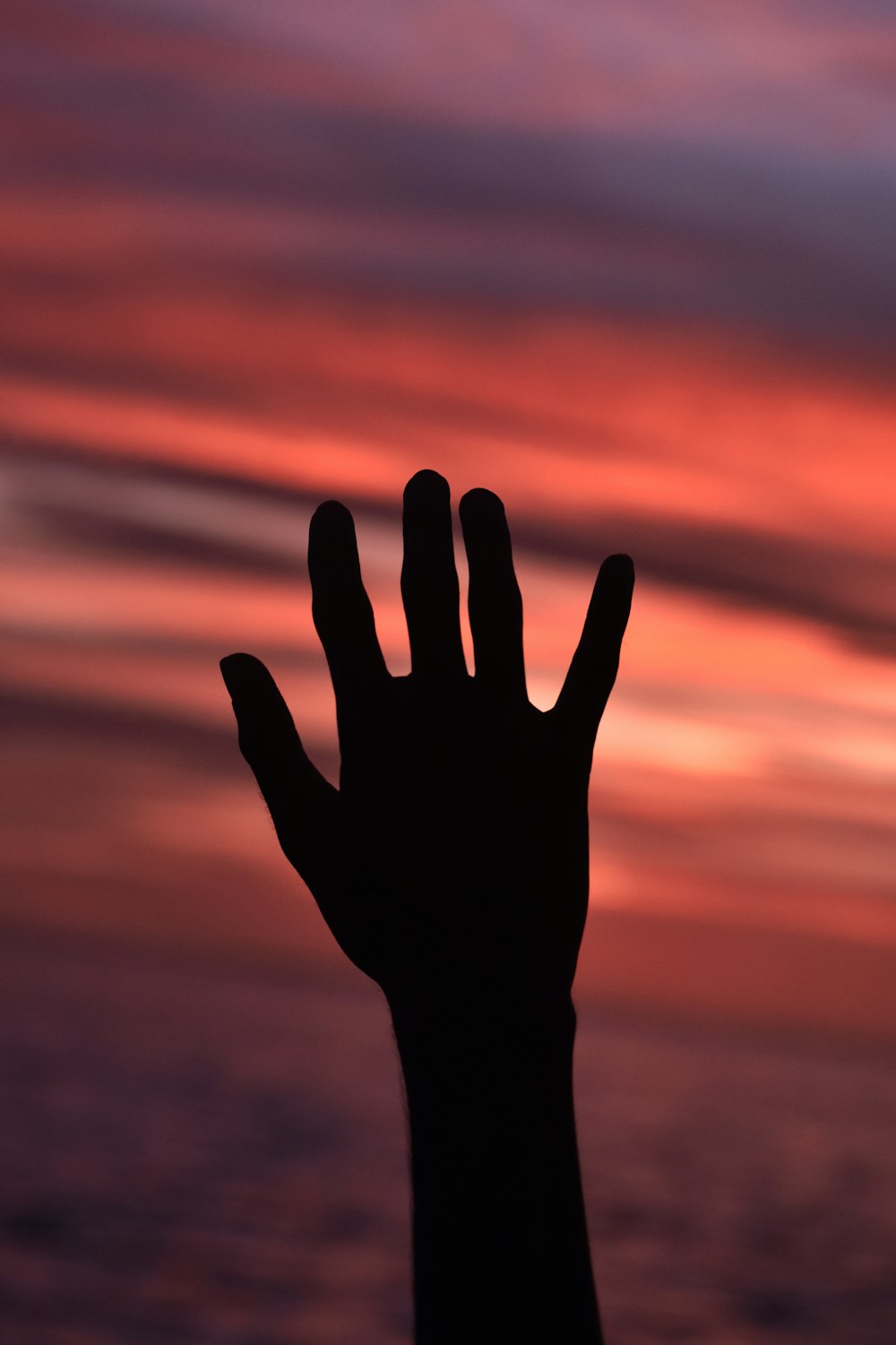 silhouette of persons hand