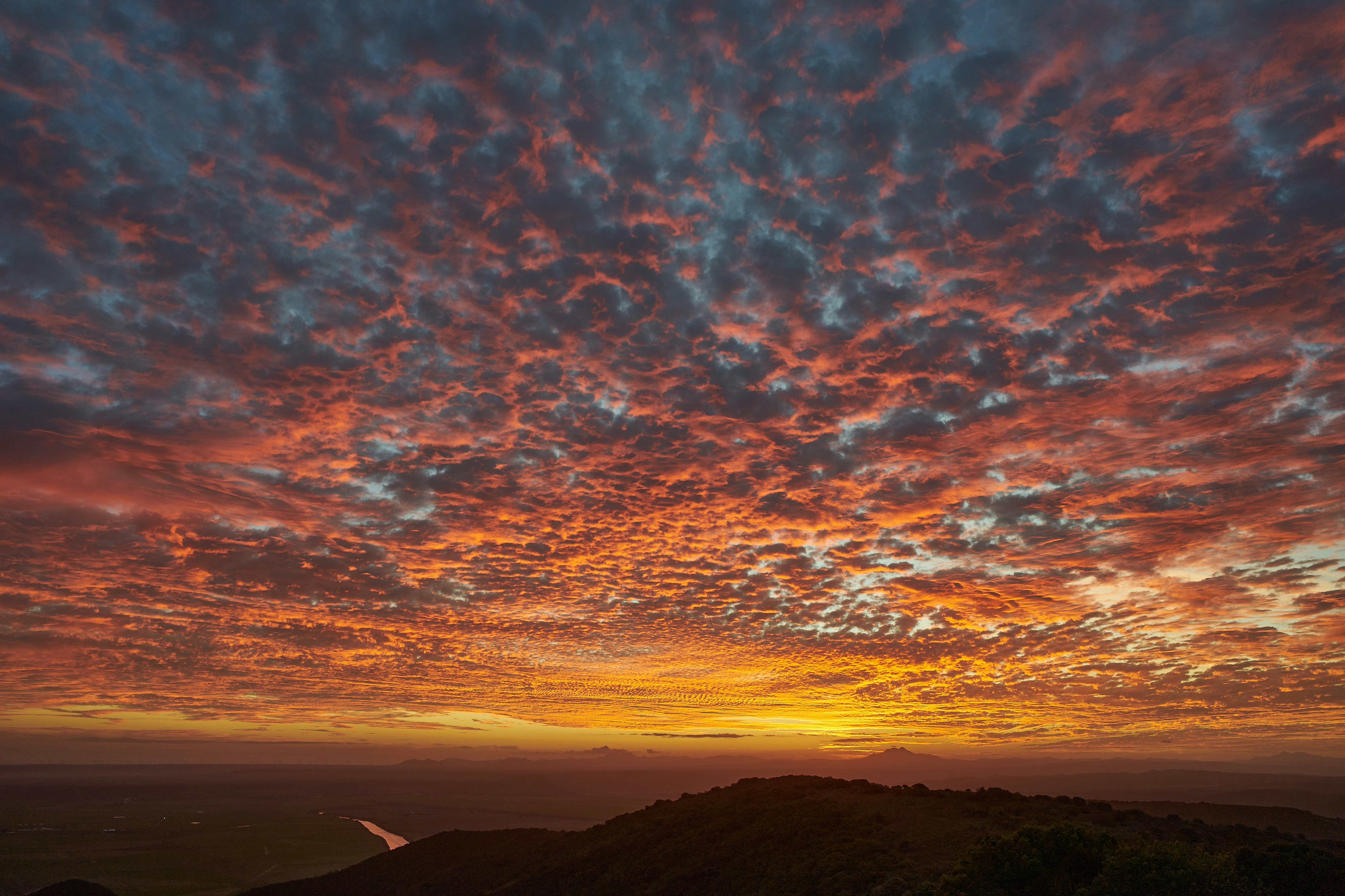 Photo by wolfgang_hasselmann