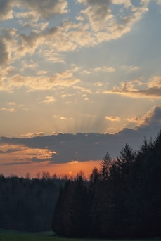 The image depicts a serene sunset over a forested landscape. The sky is filled with scattered clouds, allowing rays of sunlight to break through, creating a dramatic effect. Below, dark silhouettes of tall evergreen trees contrast against the warm colors of the sunset.