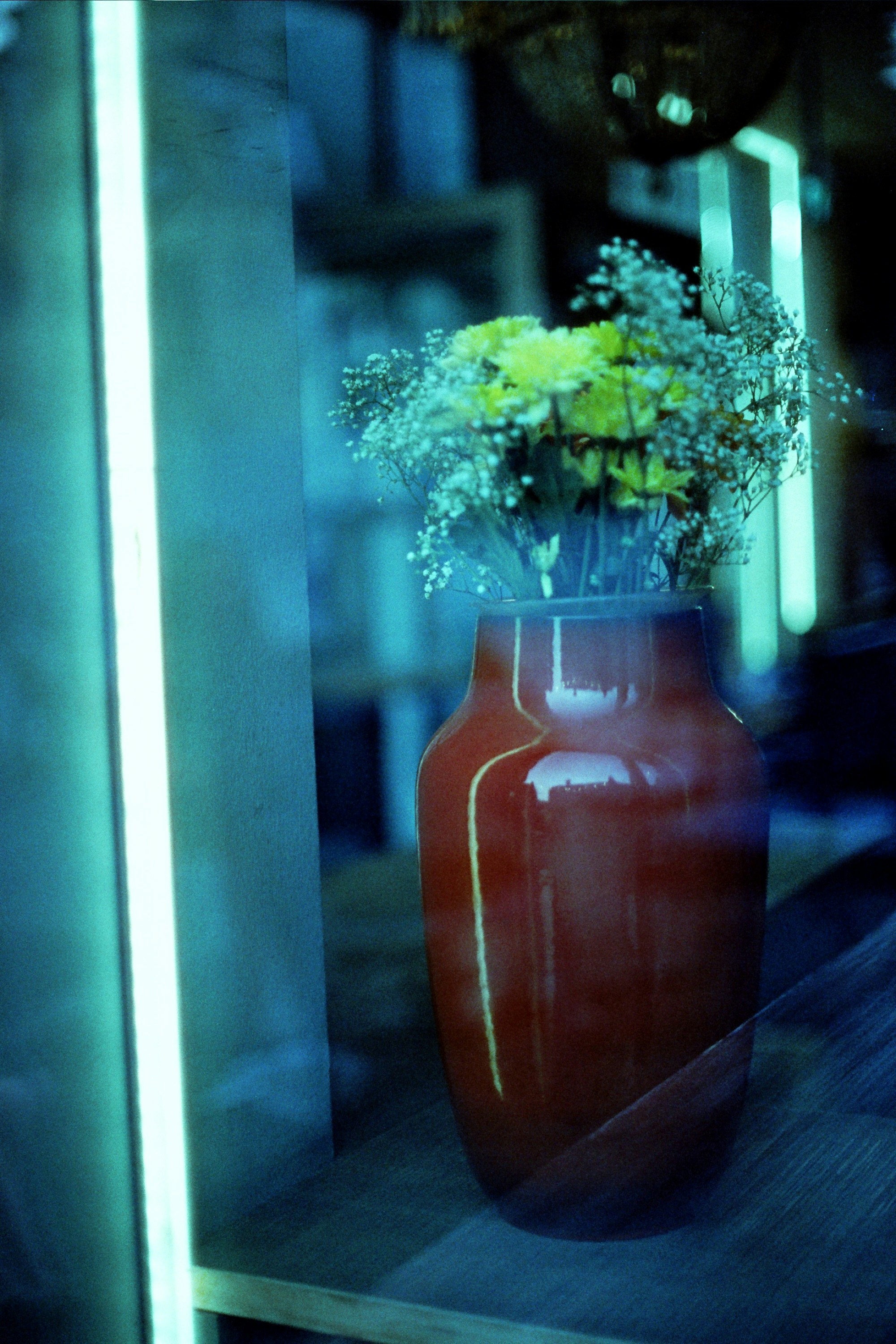 Photo by straight_outta_camera