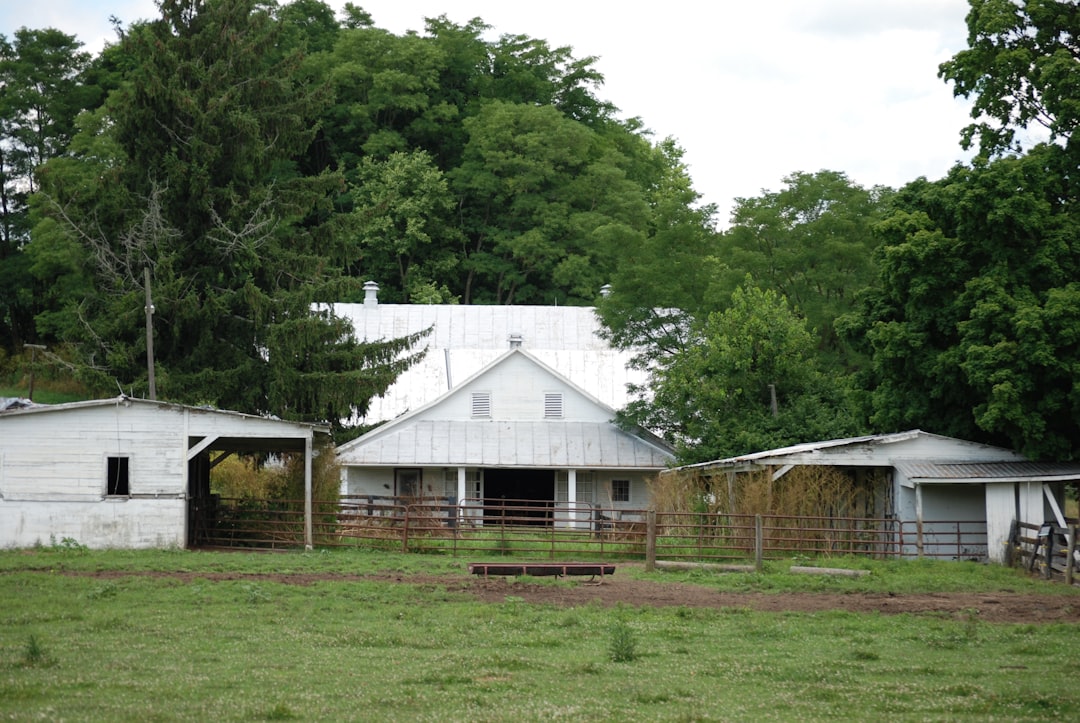 white and brown wooden house near green trees during daytime