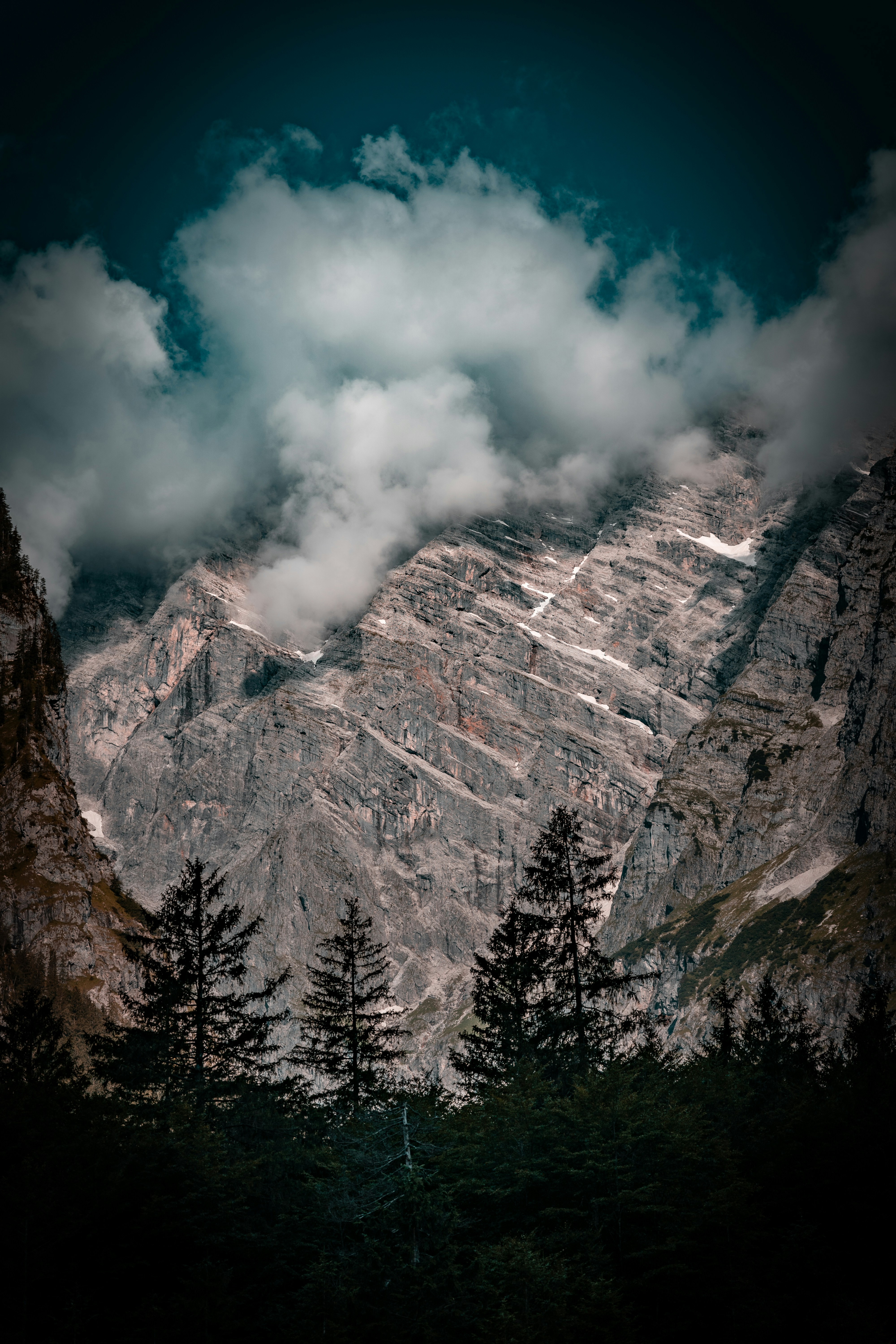 Photo by daniels_photofactory