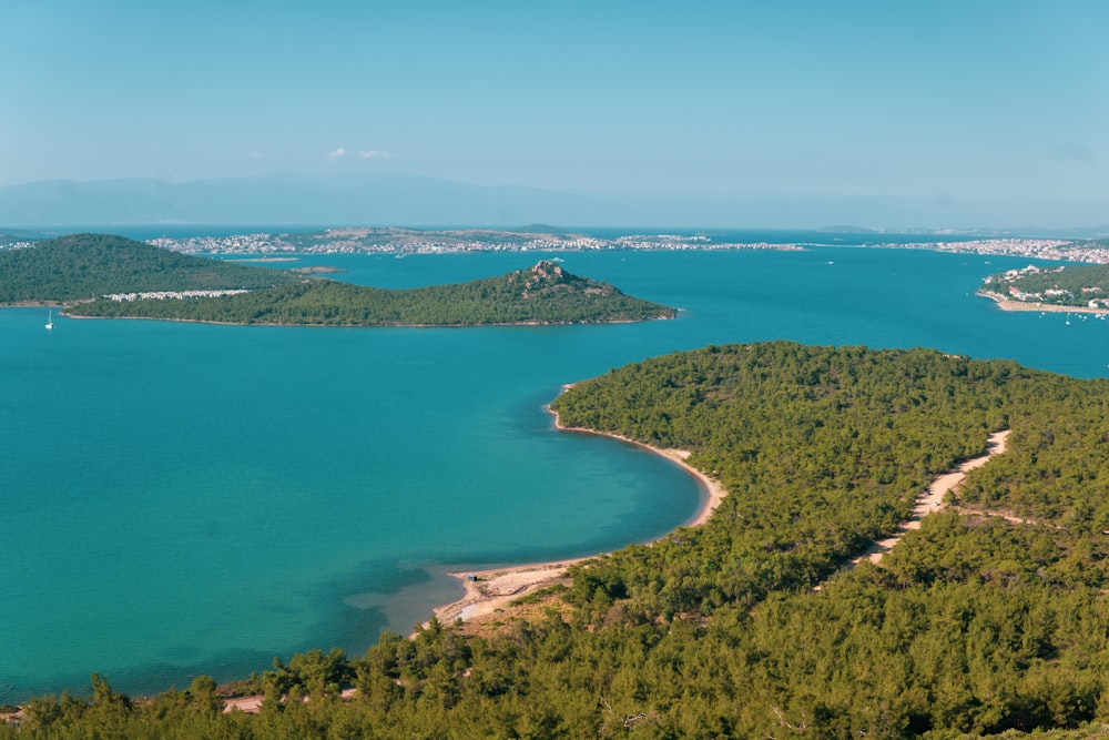 green trees near blue sea under blue sky during daytime