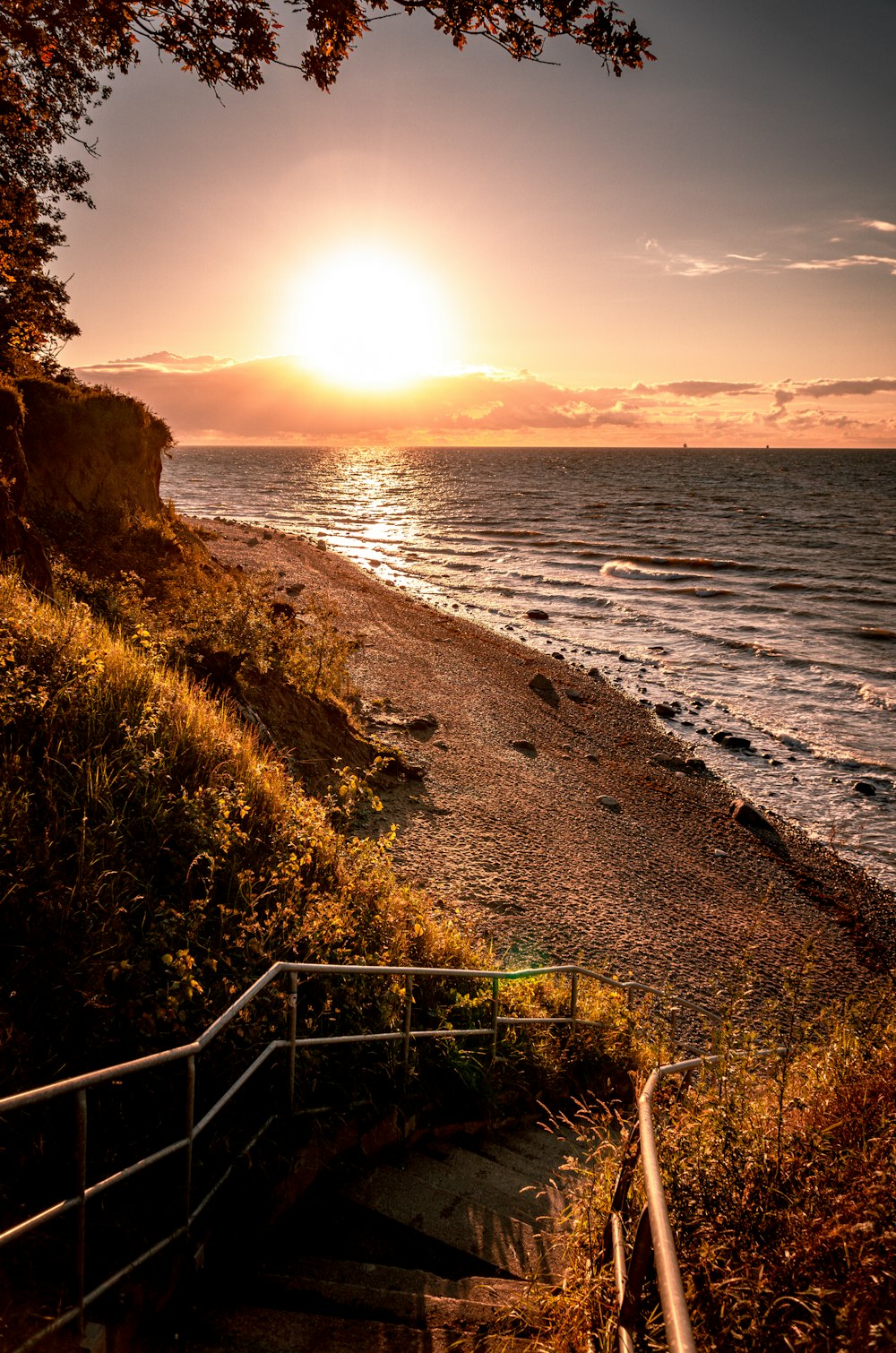 green grass on brown rocky beach during sunset