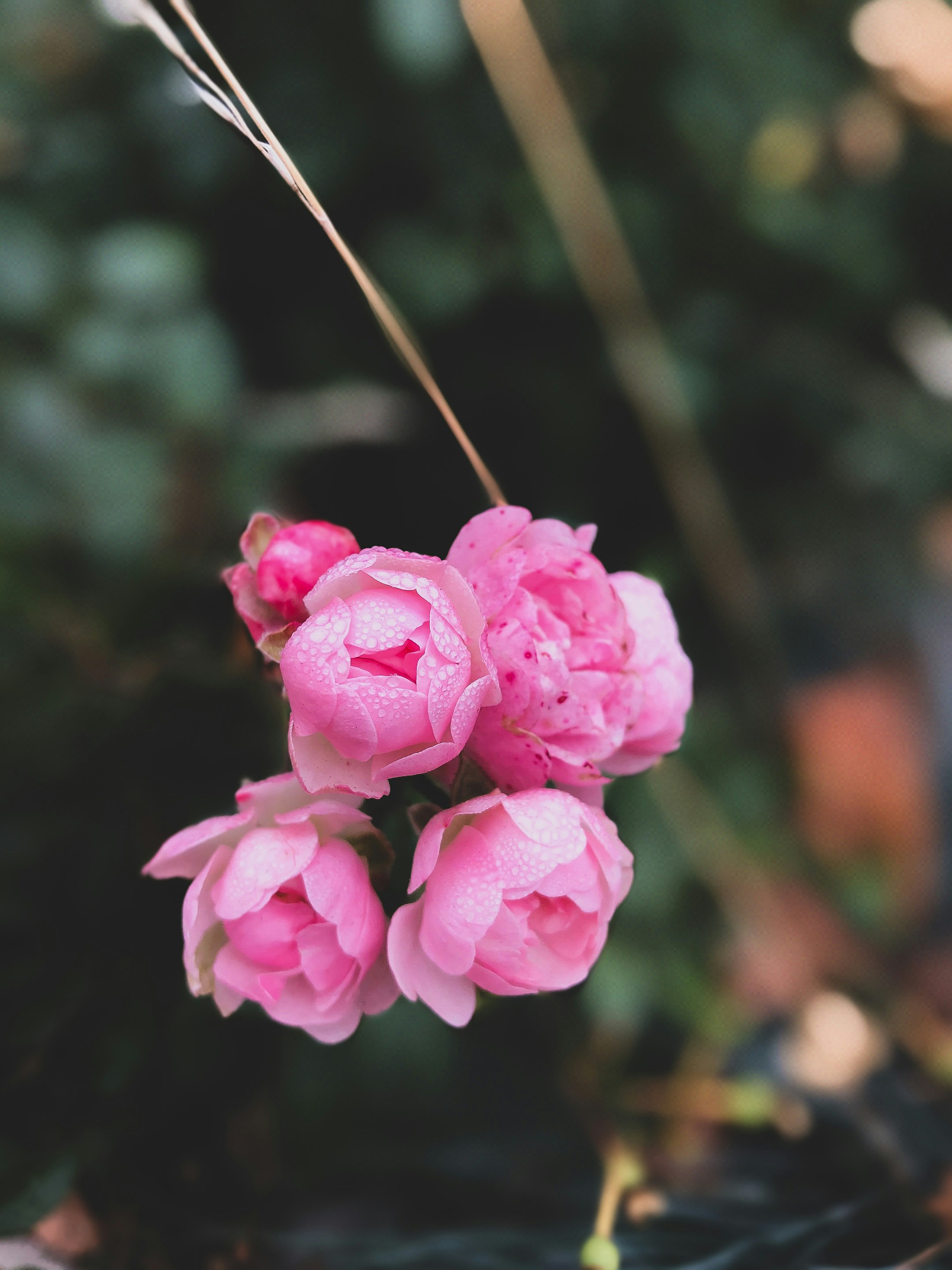 Photo by eugeniya_brvsk