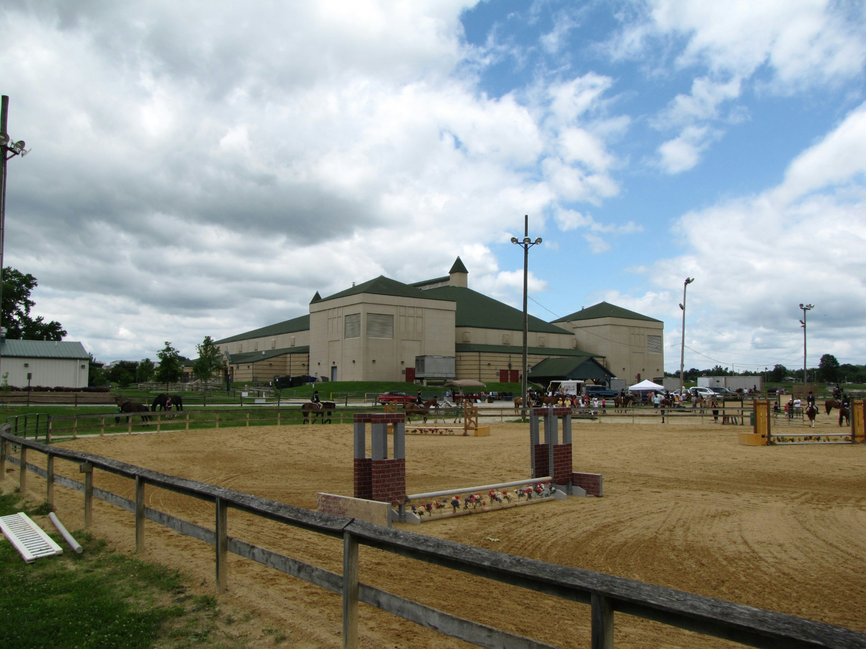 Premium Showjumping Horse Embryos